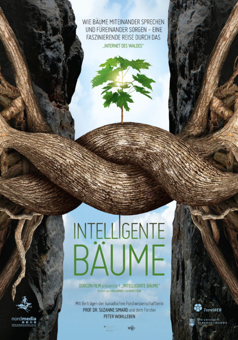 Intelligente Bäume