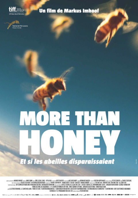 More than Honey