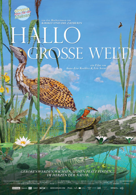 Hallo, grosse Welt !