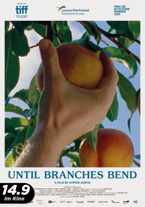 Until Branches Bend