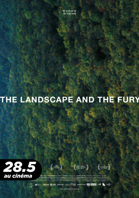 The Landscape and The Fury