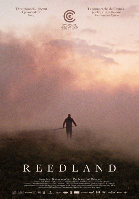 Reedland