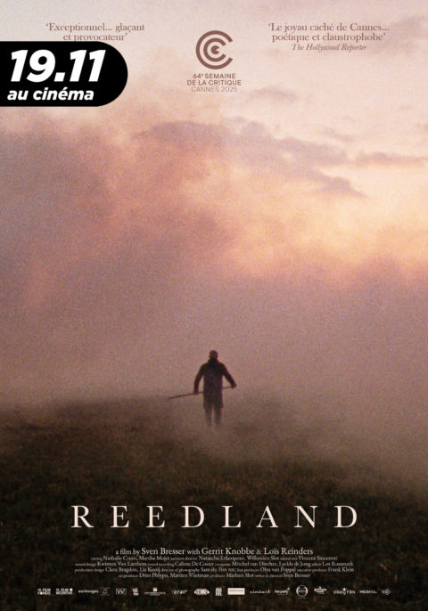 Reedland
